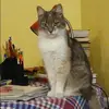 Отзыв от Анжела Астафьева